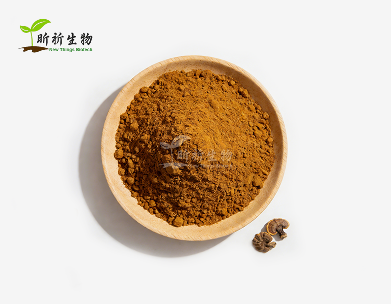 Turkey Tail Mushroom Powder Bulk